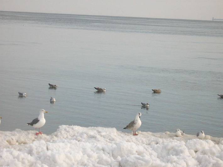 Ferienwohnung für 4 Personen in Ahlbeck - 3