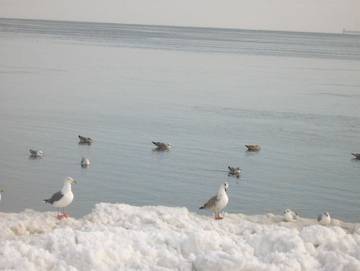 Ferienwohnung für 4 Personen in Drei Kaiserbäder, Heringsdorf, Bild 2