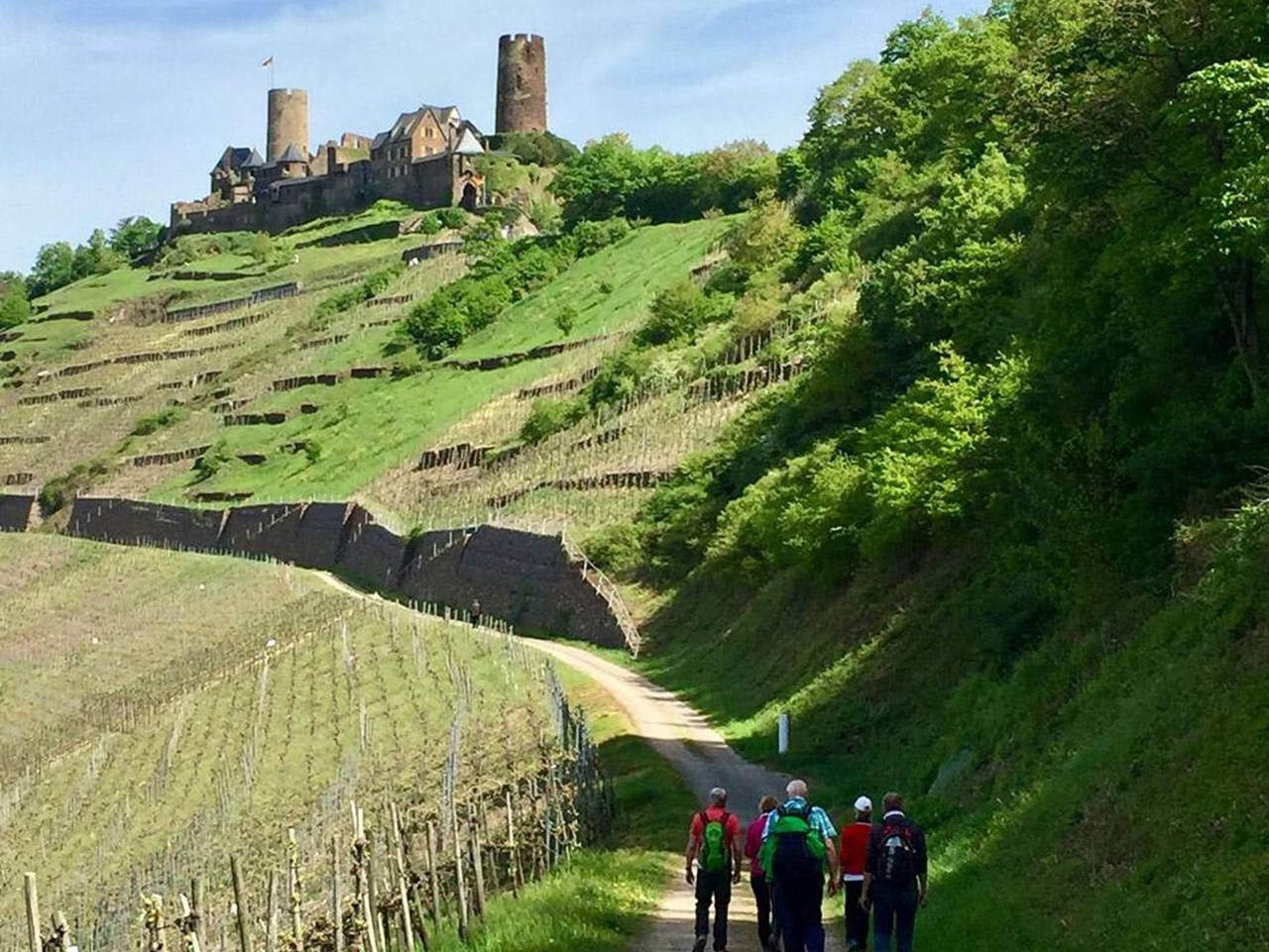 Ganze Ferienwohnung, Ambiente Weinstein am Doctorberg - 4-Bettwohnung "Doctorberg Ii" in Bernkastel-Kues, Bernkastel-Kues & Umgebung