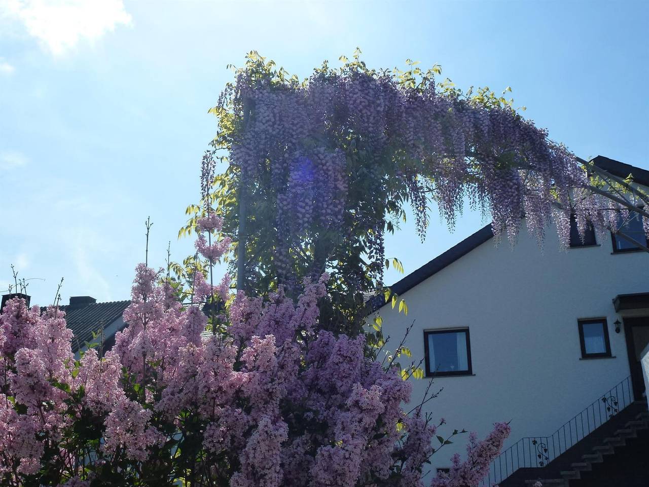 Ganze Ferienwohnung, Weingut Harald Ludwig - Fewo 2 Cuvee in Osann-Monzel, Bernkastel-Kues & Umgebung
