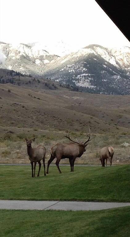 Gemütliche Eagles Nest Cabin Über dem Fluss! 6 Blocks vom Yellowstone Park in Gardiner, Absaroka Range