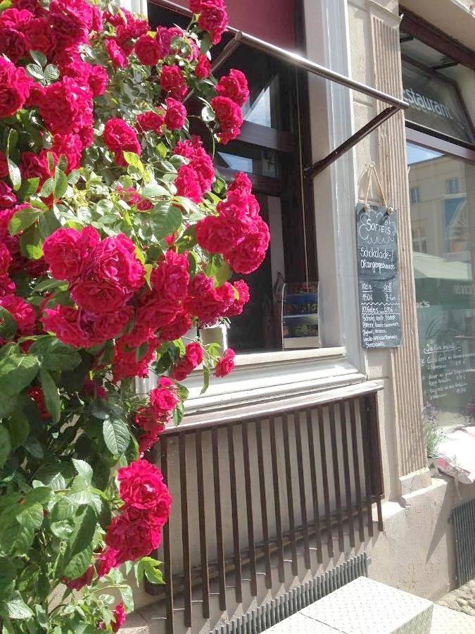Ferienhaus für 3 Personen in Havelberg - 4