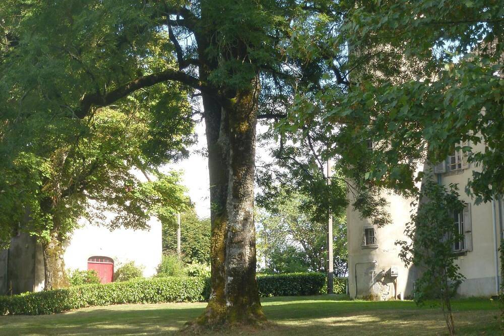 Haus Chazelles in einem Park mit Schwimbad, direkt neben dem Schloss. in Avèze, Regionaler Naturpark Volcans d'Auvergne