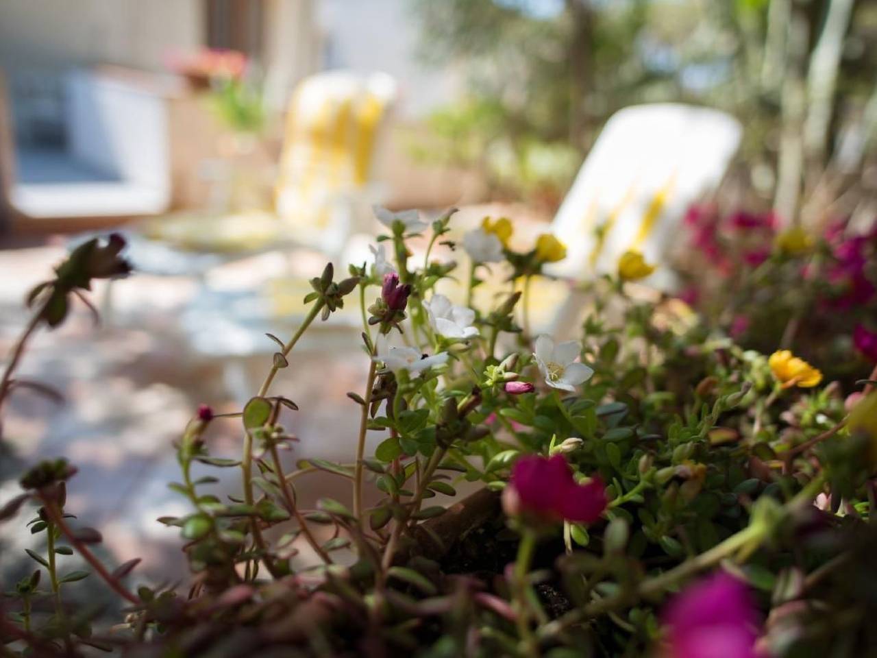 Appartement entier, Wohnung mit Wasserblick in Localita Rogana, Sciacca