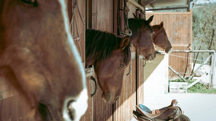 Chambre d’hôte pour 4 personnes, avec terrasse et jardin dans Ombrie - 4