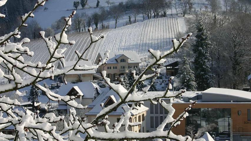 Ferienwohnung für 3 Personen, mit Balkon/Terrasse und Terrasse in Au (Schwarzwald)