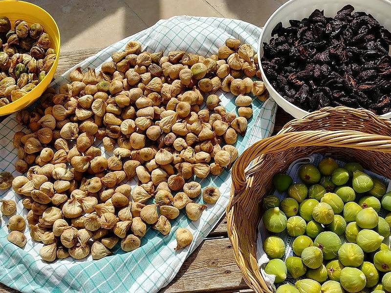 Tritt — Apartment in Martina Franca for 4 people in Locorotondo, Region de Bari