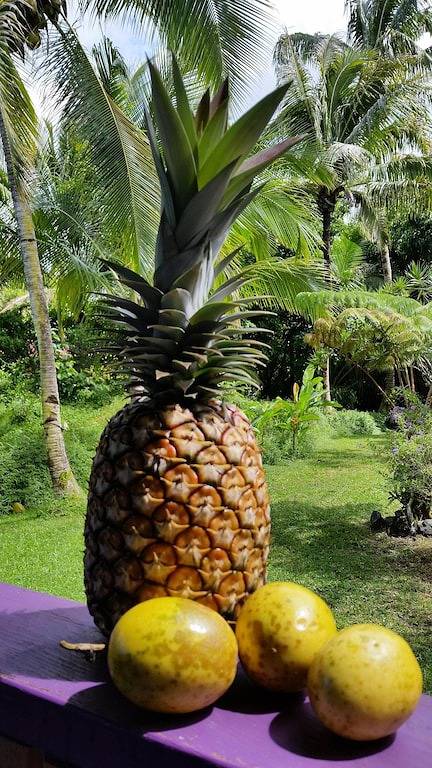 Ganze Wohnung, Tropical Studio-Apartment! in Hawaiian Paradise Park, East Puna