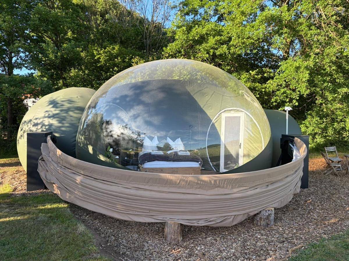 Bubble Tent Altmühltal in Greding, Frankenalb