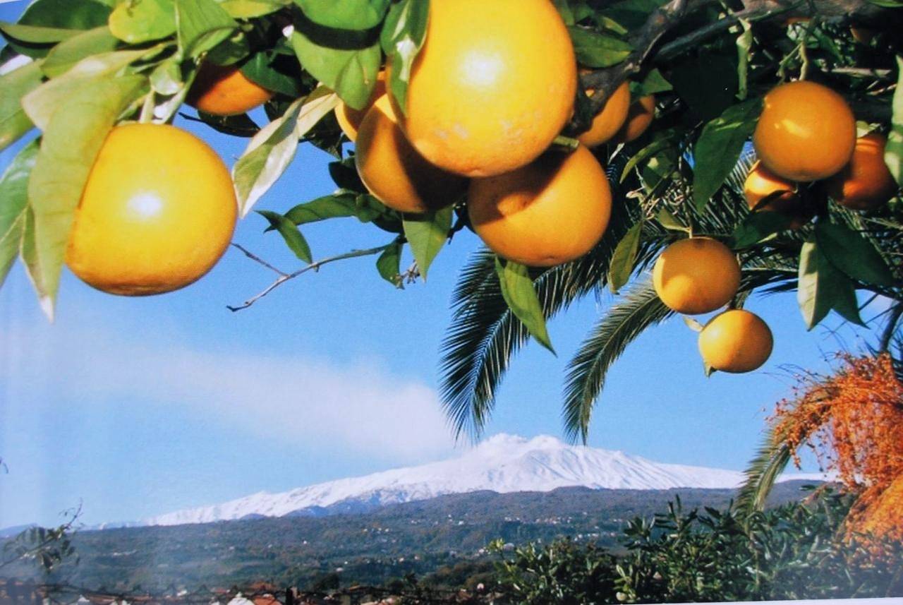 B&B Bellini in Milo, Etna