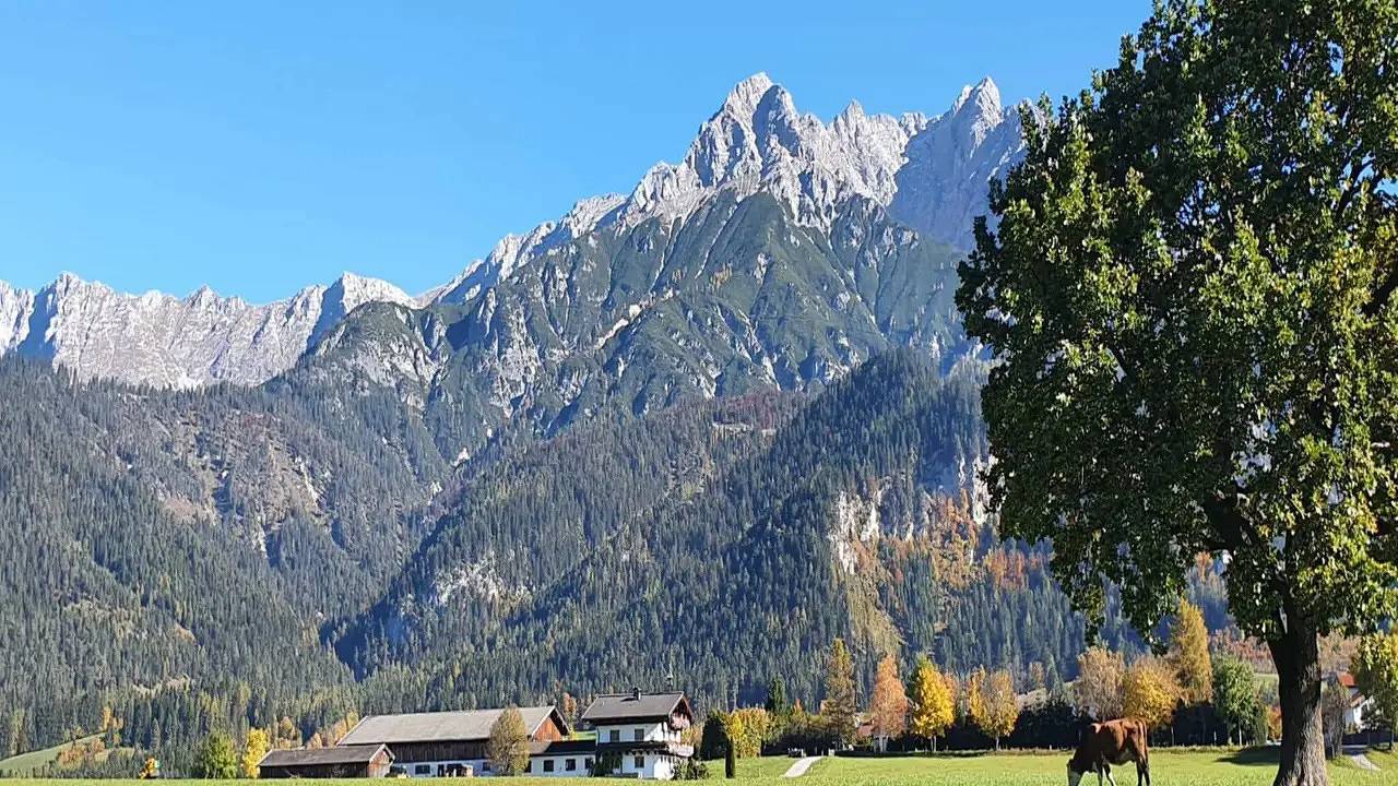 Ganze Ferienwohnung, Ferienwohnung für 6 Personen (75 m²) in Saalfelden am Steinernen Meer in Saalfelden, Saalfelden am Steinernen Meer