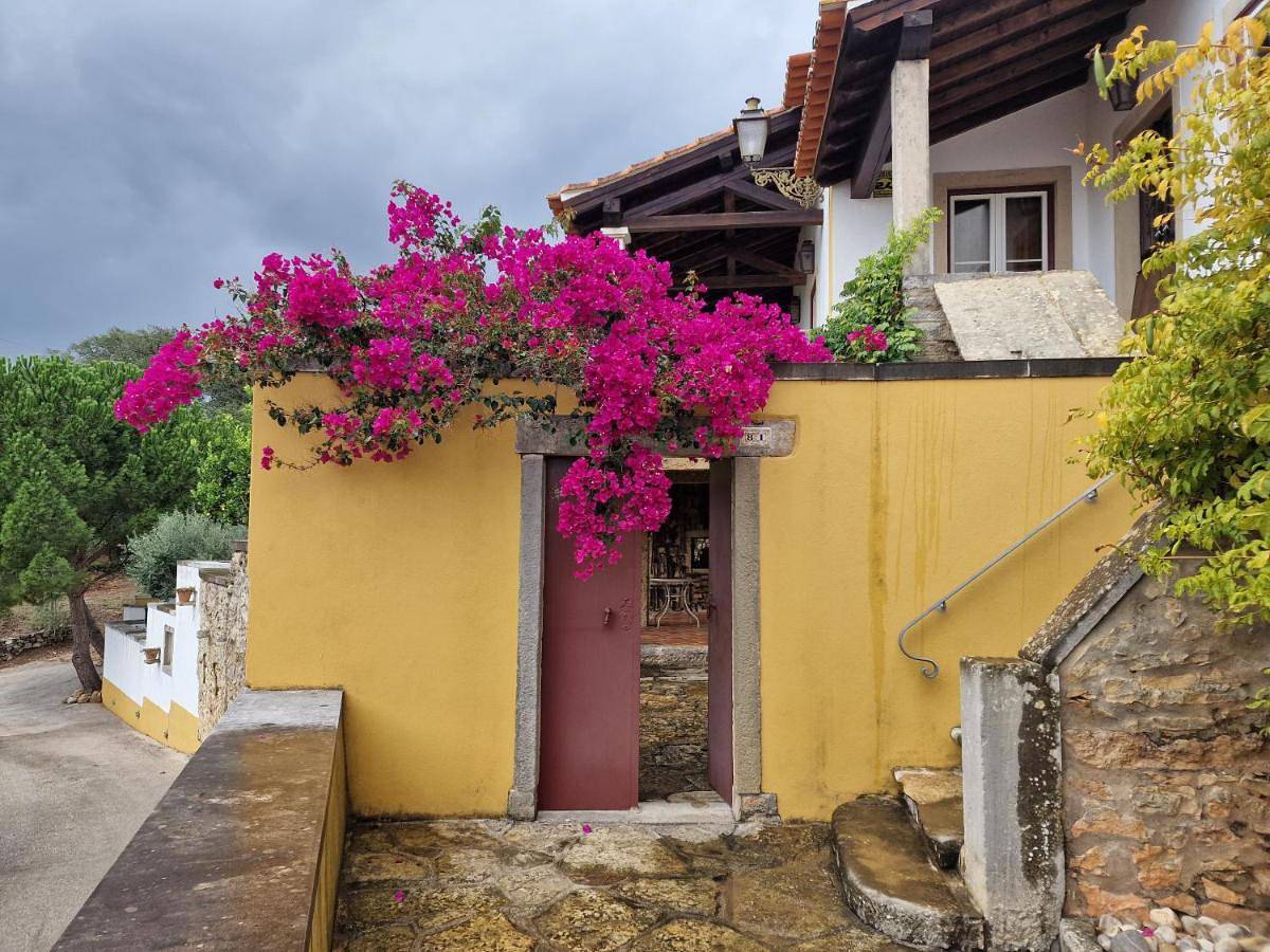 Apartamento vacacional entero, Suite in Tomar, Sicó/Alvaiazere