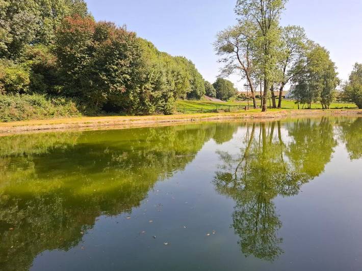 Gîte pour 2 personnes, avec terrasse et jacuzzi ainsi que sauna et jardin dans Tillet - 3