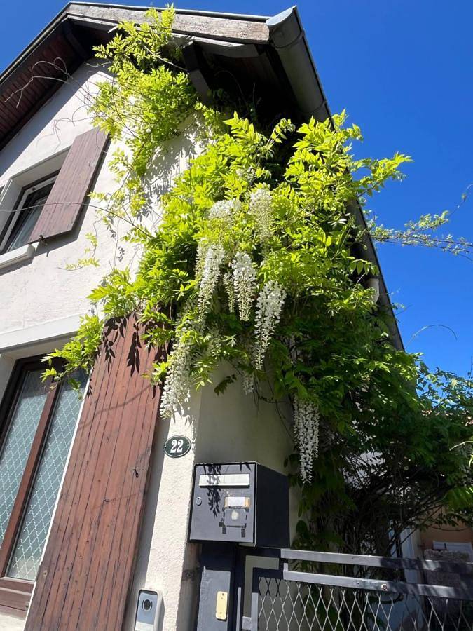 Location de vacances pour 4 personnes, avec vue et jardin, animaux acceptés à Schiltigheim - 3