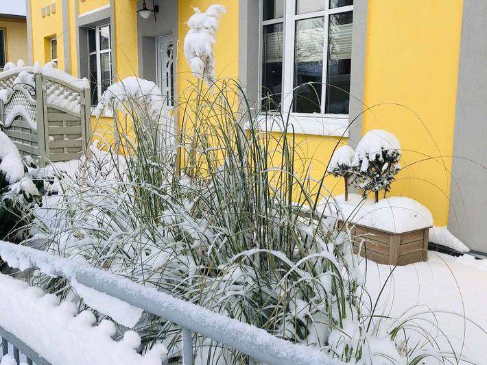 Ferienwohnung für 4 Personen, mit Terrasse und Garten sowie Seeblick in Drei Kaiserbäder