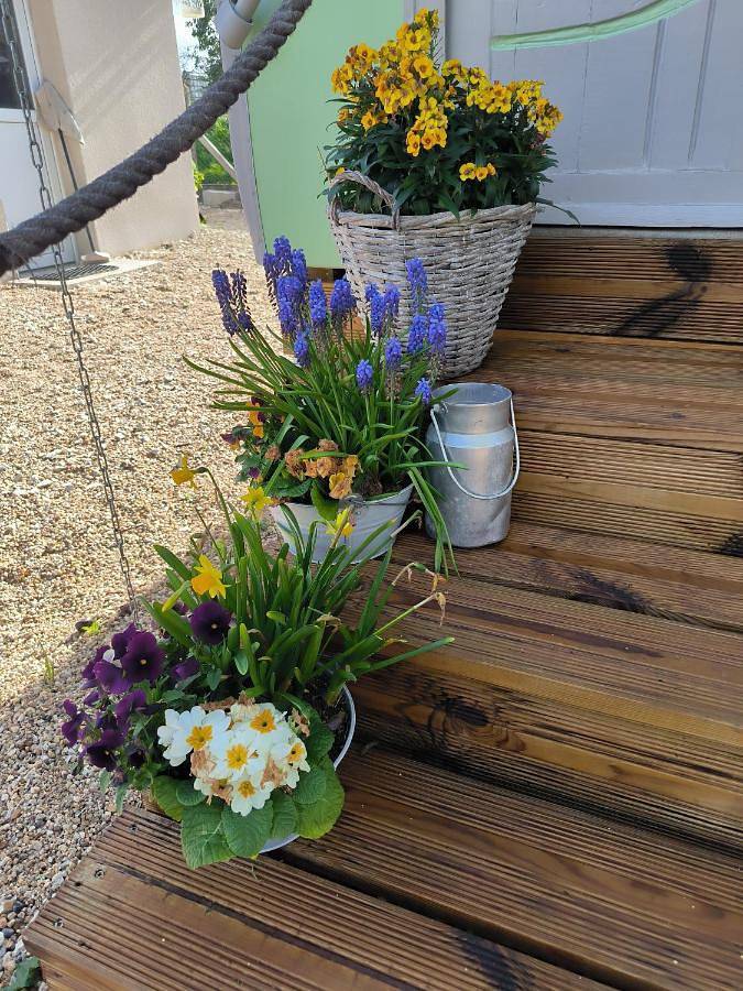 Tente pour 2 personnes, avec jardin et terrasse dans Indre - 3