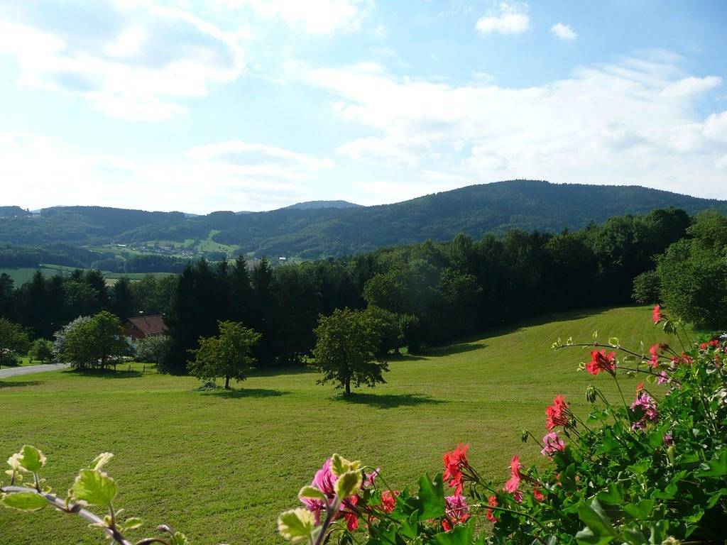 Ganze Wohnung, Ferienwohnung Hirtreiter - Ferienwohnung 1**** 73qm in Lalling, Ostbayern