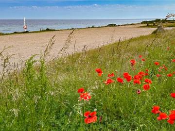 Ferieudlejning til 8 Personer i Overby Lyng, Sjællands Odde, Billede 4