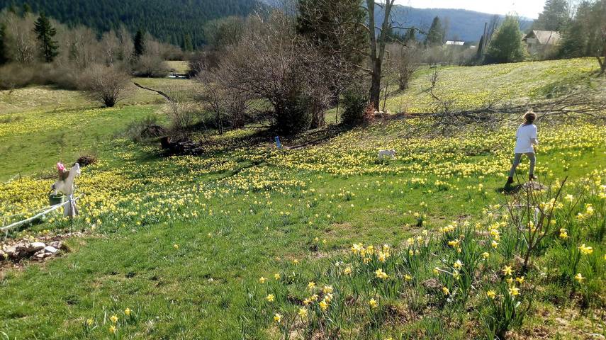 La ferme du grandpère Prosper in Liézey, Parc naturel régional des Ballons des Vosges