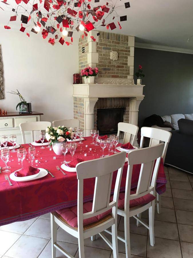 Location de vacances pour 18 personnes, avec jardin et piscine, animaux acceptés à Aire-sur-la-Lys - 2