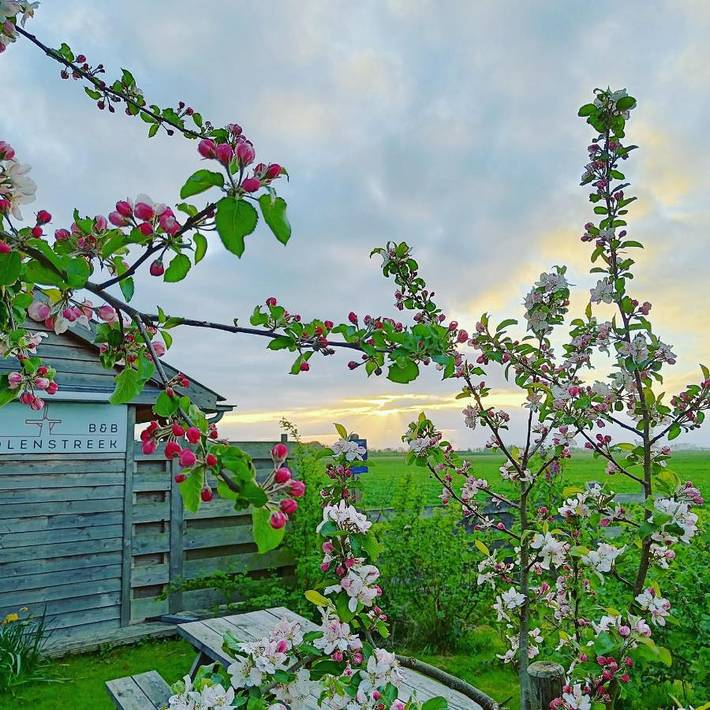 Location de vacances pour 2 personnes, avec jardin et vue dans Groningue - 4