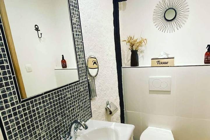 Location de vacances pour 7 personnes, avec piscine et jardin à Sorèze - 2