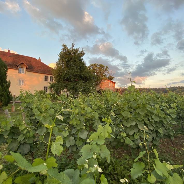 Location de vacances pour 2 personnes, avec jardin dans le Jura