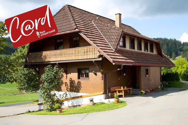 BnB für 19 Personen, mit Balkon und Garten in Titisee-Neustadt