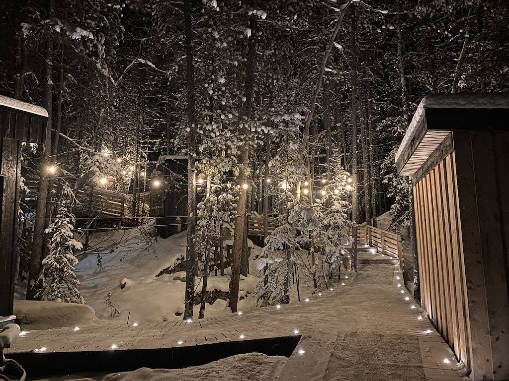 Black Spruce - Red Door in Whitehorse, Yukon