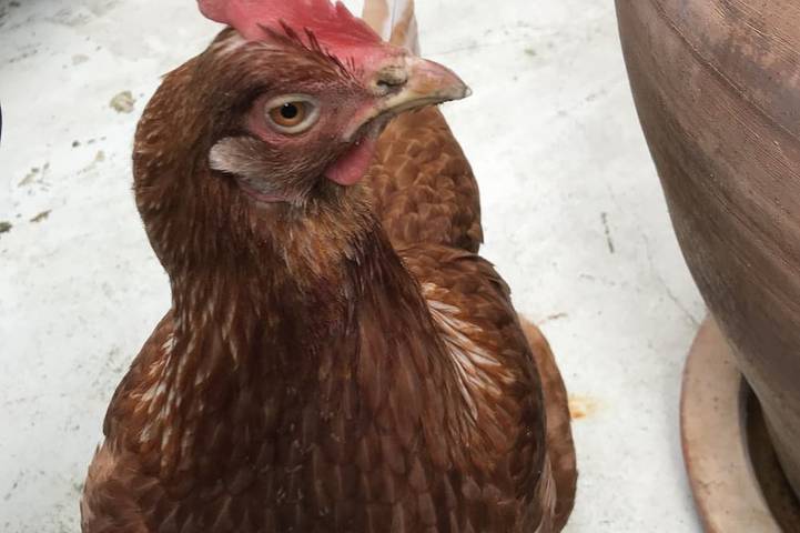 Gîte pour 6 personnes à Bruley