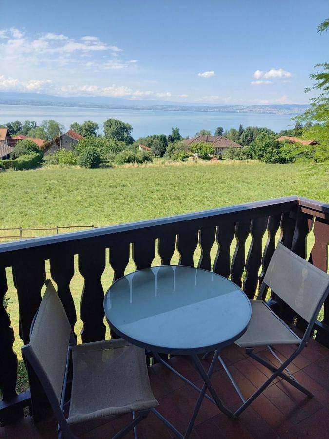 Gîte pour 2 personnes, avec terrasse et vue dans Lac Léman (France) - 2