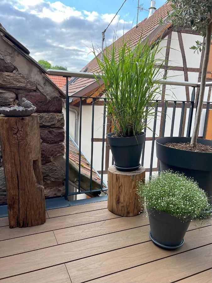 Location de vacances pour 6 personnes, avec terrasse à Blaesheim - 3