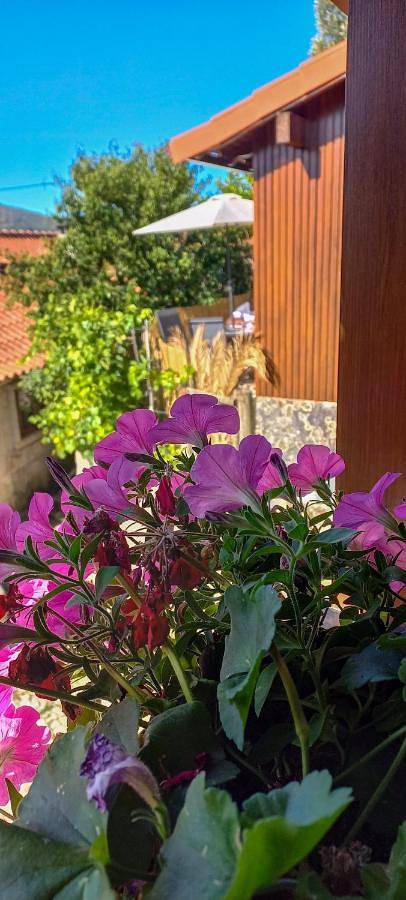 Location de vacances pour 5 personnes, avec vue ainsi que jardin et terrasse à Cabril - 3