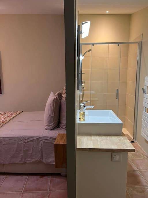 Location de vacances pour 14 personnes, avec piscine ainsi que vue et jardin à Venasque - 3