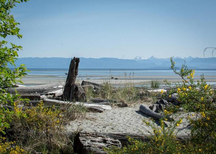 Vakantiewoning voor 5 personen, met terras op Vancouvereiland
