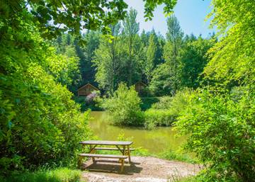 Glamping for 4 People in Devon, South West England, Photo 3