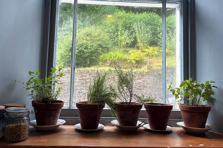 Apartment for 3 people in Westward Ho