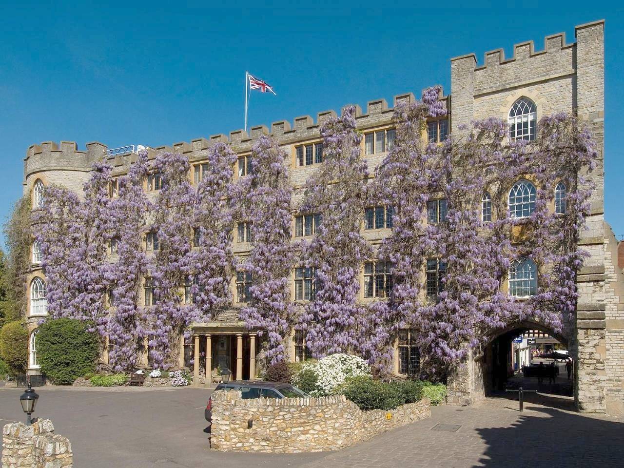 Deluxe Suite in Taunton, Somerset