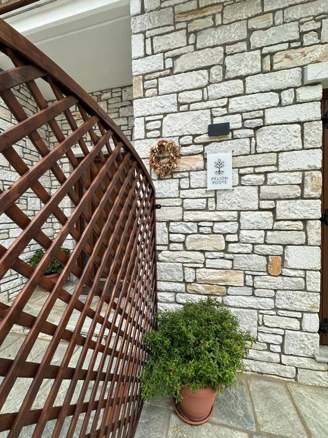 Appartement entier, Pelion Roots in Zagora, Magnisia