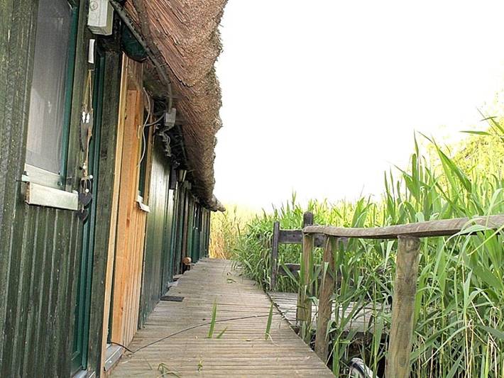 Ferienwohnung für 2 Personen, mit Balkon und Seeblick in Mecklenburgische Seenplatte - 4