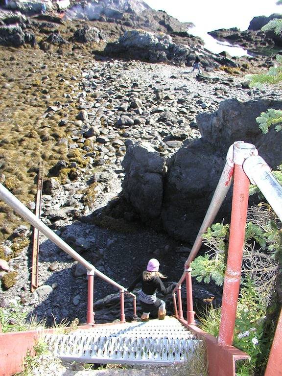 World’s highest tides! Pet friendly, bay front cottage with huge fenced yard. in Washington County (Maine)