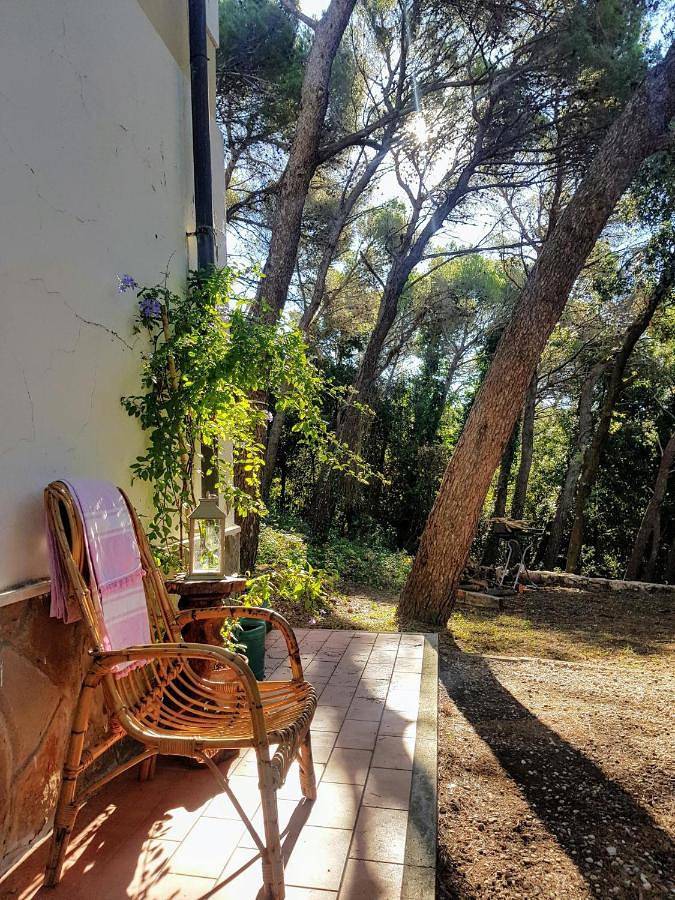 Ferienhaus für 6 Personen, mit Garten und Ausblick in Livorno - 3