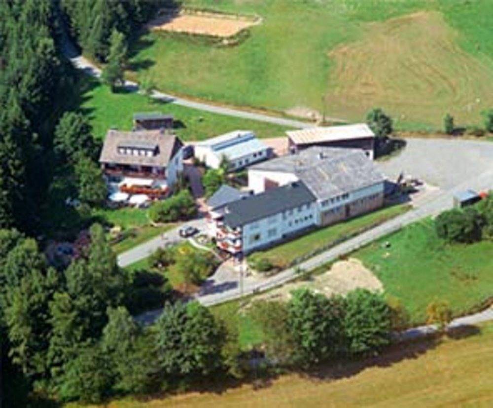 Pension Hof Dödesberg - Pferdekoppel in Bad Berleburg, Kreis Siegen-Wittgenstein