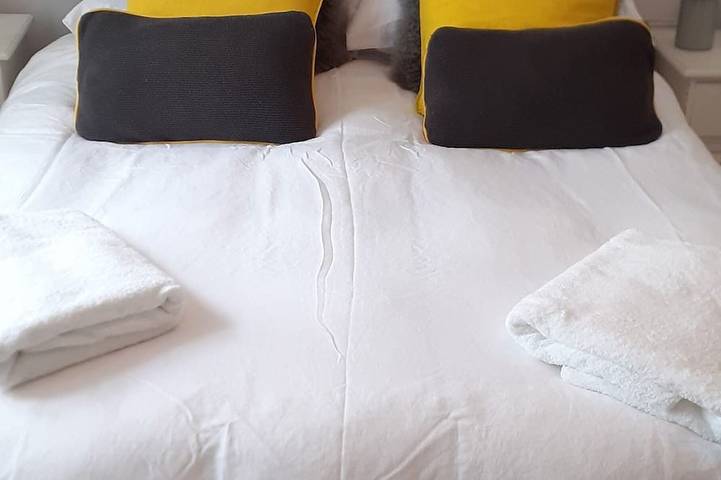 Location de vacances pour 6 personnes, avec jardin à Westport - 2