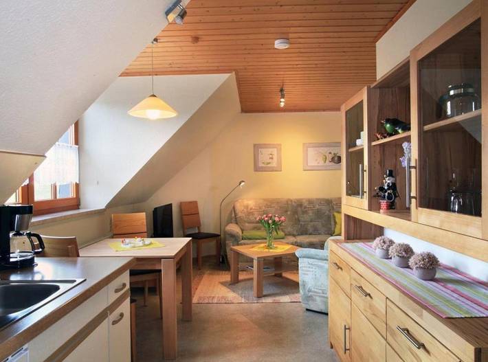 Ferienwohnung für 6 Personen, mit Terrasse und Garten sowie Ausblick in Neuhausen/Erzgebirge