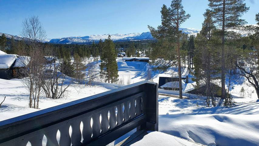 Hütte mit Bogenkonstruktion und Blick auf das Setesdal in Hartevatnet, Bykle