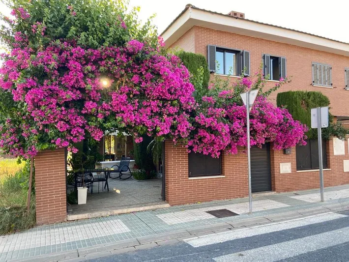 Casa de férias para 7 pessoas, com jardim e vista e ainda piscina, com animais de estimação - 1
