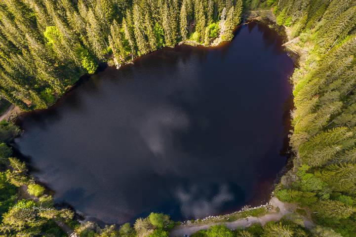 Ferienwohnung für 4 Personen, mit Sauna und Balkon im Schwarzwald - 2