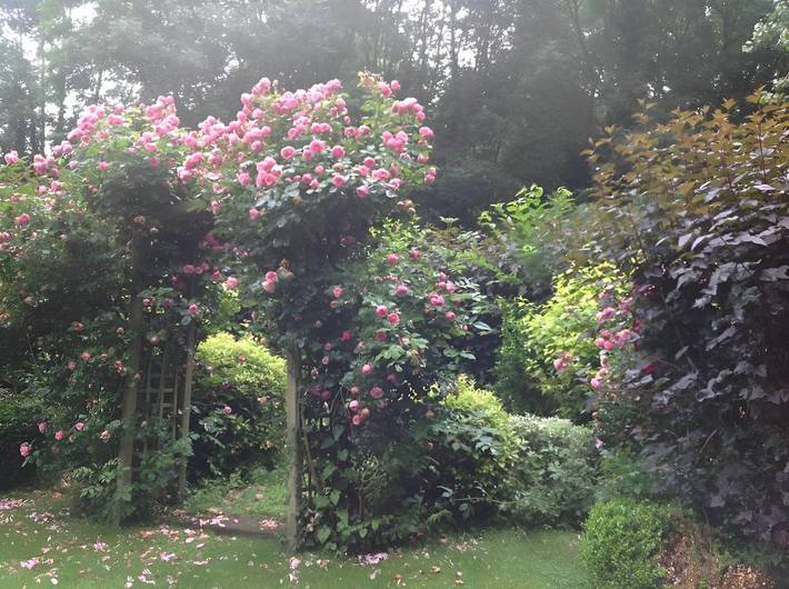Chambre d’hôte pour 5 personnes, avec jardin et piscine dans l' Eure - 4
