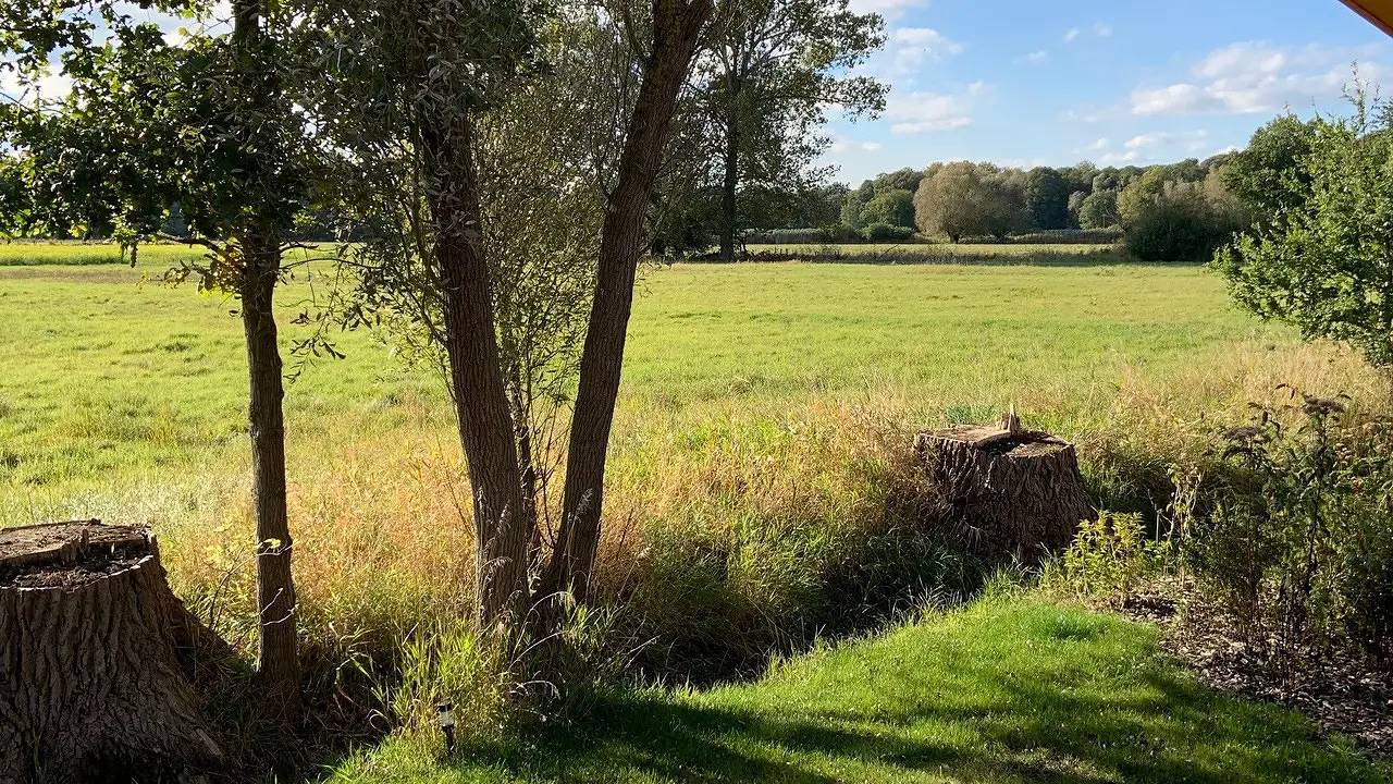 Ferienhaus für 4 Personen (37 m²) in Bleckede in Bleckede, Mecklenburgisches Elbetal